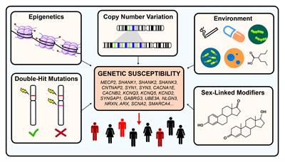 Genetic Causes and Modifiers of Autism Spectrum Disorder